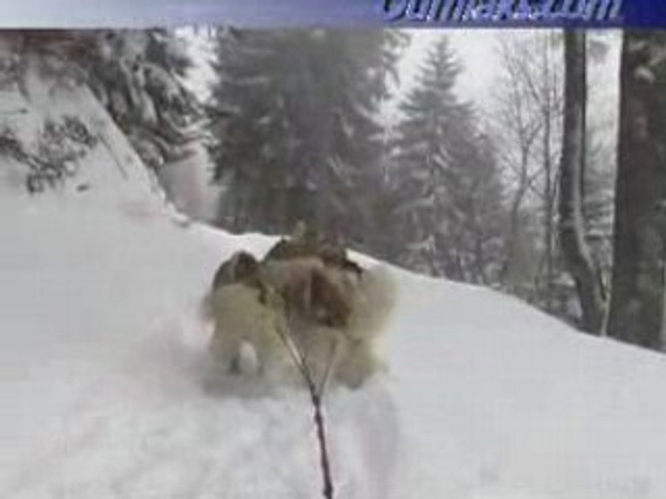 Sled tour, 23 March 2008, part 1