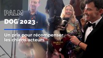 Une Palme du festival de Cannes decernée aux chiens acteurs