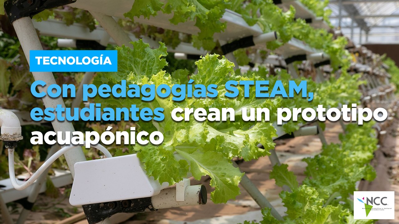 Con pedagogías STEAM, estudiantes crean un prototipo acuapónico