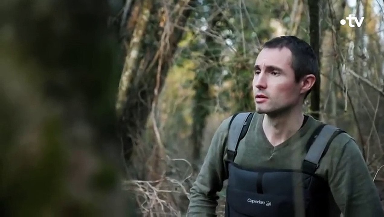 Le castor abat des arbres de plusieurs mètres - ZAPPING SAUVAGE