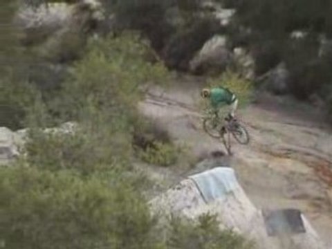 Freeride for wild riders