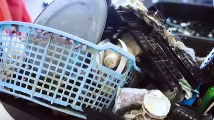 Ocean Cleanup! World’s Biggest Floating Garbage Dump (2018)