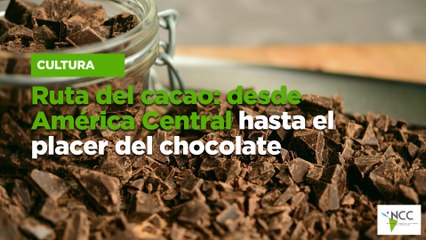 Ruta del cacao: desde América Central hasta el placer del chocolate
