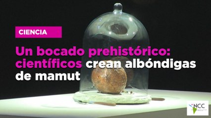 Un bocado prehistórico: científicos crean albóndigas de mamut