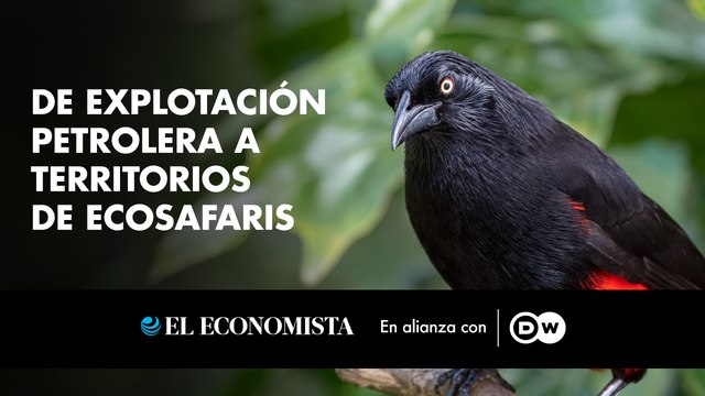 De explotación petrolera a territorios de ecosafaris