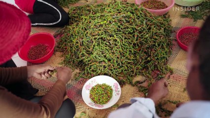 Kampot white peppercorns cost $28 per kilogram wholesale. Online, they can cost over $100 per kilogram.