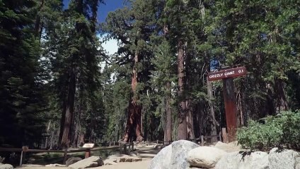 Arquivos do FBI revelam plano para matar Elizabeth II durante viagem aos EUA