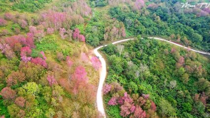 Zen Meditation Music for Relaxing Atmosphere