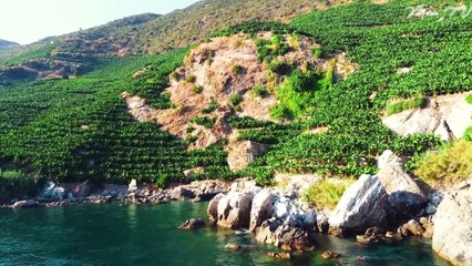 Mindfulness Meditation for Stress Management