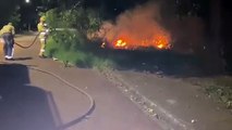 Bombeiros combatem incêndio em vegetação no Santa Cruz