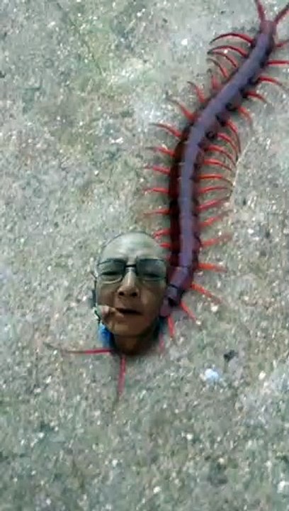 Comedy-video-2023_25