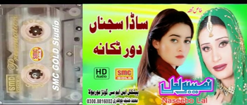 Naseebo Lal - Sada Sajna Dor Thikana - Latest Saraiki & Punjabi Sad Song | ( Audio 2023 )