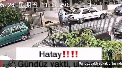 Gündüz vakti sokak ortasında köpeğe tecavüz etti! Şimdi hesap verecek