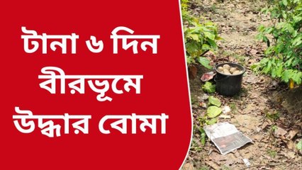 বীরভূম: জঙ্গলে বালতি ভর্তি বোমা, আগ্নেয়াস্ত্র সহ গ্রেফতার ১