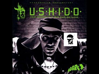 Bushido – Gemein wie 10: Die dunkle Seite des Rappers enthüllt - thumbnail