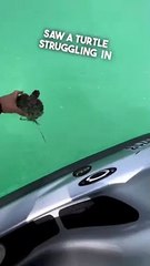 He saved a turtles life in the ocean
