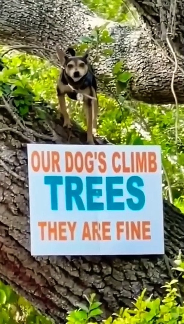 ⁣Just some memes i found on Discord  #6