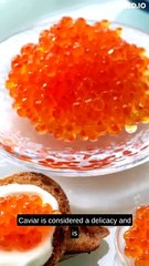 Caviar: The Luxurious Salt-Cured Roe 🥂