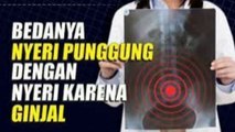 perbedaan nyeri punggung dan nyeri karna ginjal