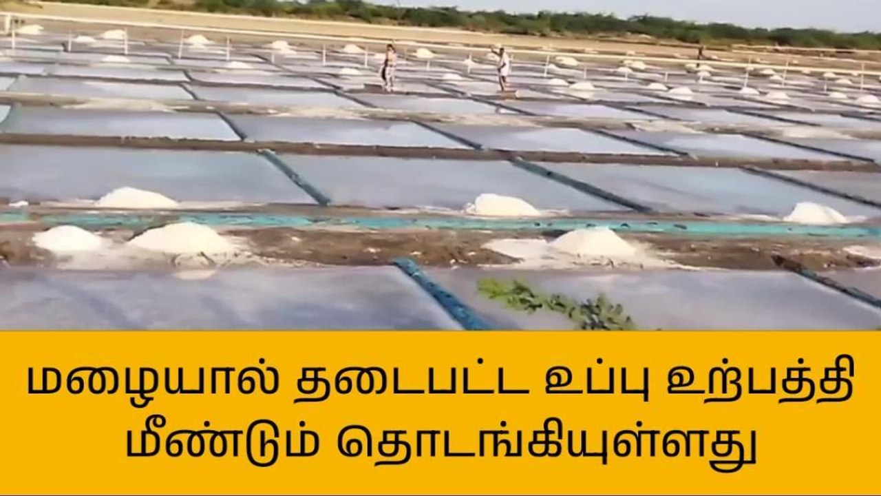 நாகை:மழைக்குப்பின் உப்பு உற்பத்தி தொடக்கம்!