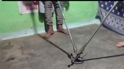 सोहागपुर: घर में छुप कर बैठा था कोबरा प्रजाति का सांप, वीडियो आया सामने