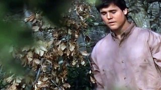 Swamp Thing: The Series Swamp Thing: The Series S03 E012 Easy Prey