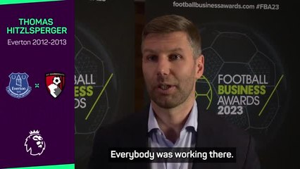 Former Toffee Hitzlsperger wants an Everton revival after survival