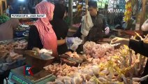 Harga Daging Ayam di Purwakarta Mahal, Penjualan Pedagang Turun 50 Persen!