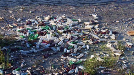 Écologie : la pollution plastique bientôt réduite ?