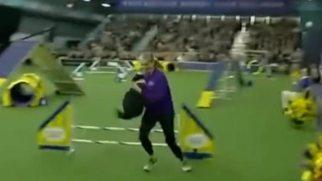 Çeviklik Şampiyonası'nda yarışan köpek sosyal medyada gündem oldu