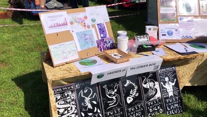 Monmouth Regatta, Friends of the Lower Wye