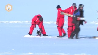 How To Get a Job in Antarctica - How to Work in Antarctica