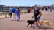 People enjoying the bank holiday weekend sun in Hastings & St Leonards, East Sussex