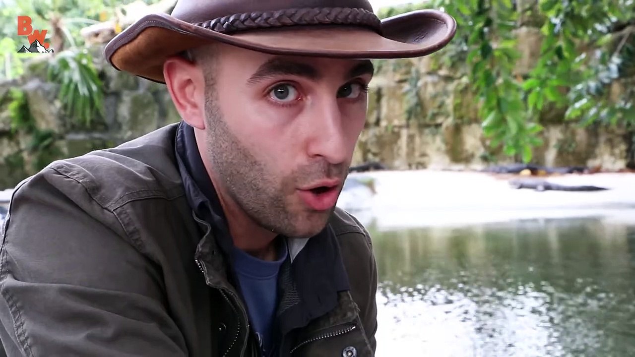 ALLIGATOR BITE!
