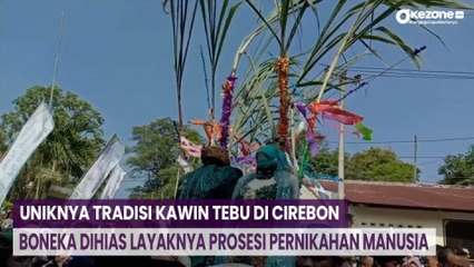 Uniknya Tradisi Kawin Tebu di Cirebon, Boneka Dihias Layaknya Prosesi Pernikahan Manusia