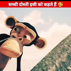 दो बंदरों की कहानी | Cartoon in Hindi | Cartoon animation story