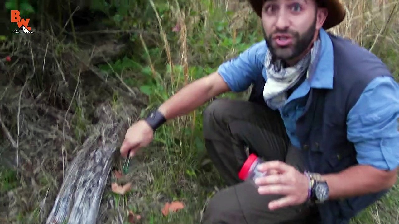 DEADLIEST SPIDER BITE!