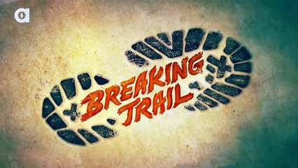 Giant Desert Centipede Is A Living Nightmare!