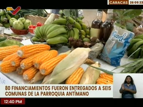 Min. Greicys Barrios entregó 80 financiamientos para la producción agrourbana a comunas de Antímano