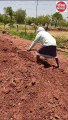 जान हथेली पर रखकर खेत जाते हैं किसान, यकीन नहीं आता तो देखिए ये वीडियो