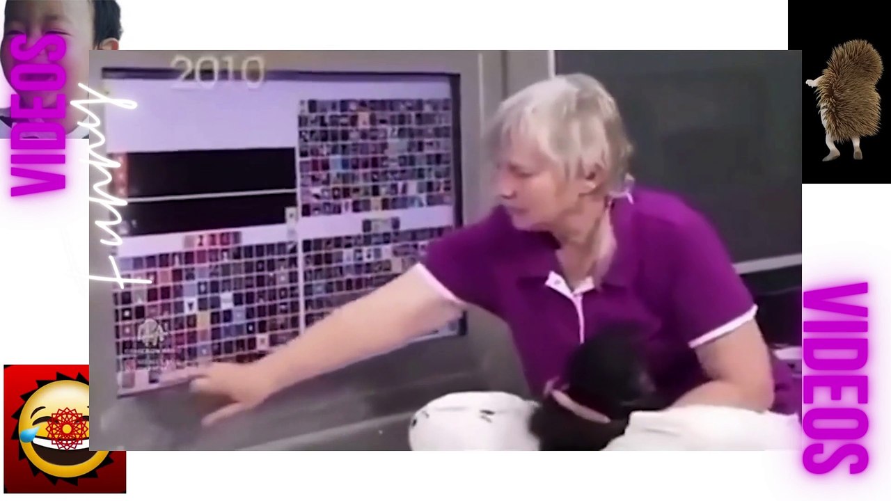 062 Laugh Out Loud Hilarious Videos Guaranteed to Make You Smile