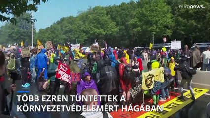 Több ezer holland környezetvédő blokkolt egy autópályát Hágában