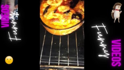 063 Laugh Out Loud Hilarious Videos Guaranteed to Make You Smile