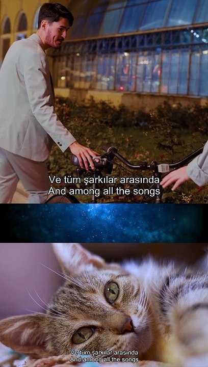 Beautiful love stories 2