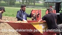 Iraktan döndü, Cilo dağı eteklerinde patates üretimine başladı