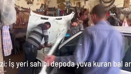 Sanayi esnafına arı sürprizi: İş yeri sahibi depoda yuva kuran bal arılarını görünce şoke oldu