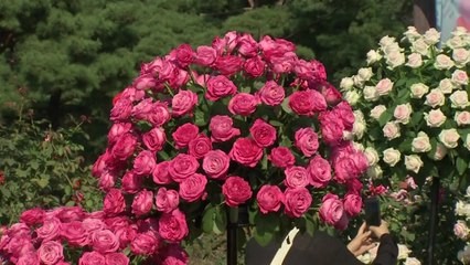 '마을 정원 2천2백 곳'...정원도시로 탈바꿈하는 서울 / YTN