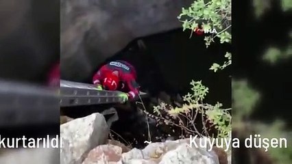 Kuyuya düşen köpek kurtarıldı