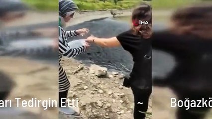 Boğazköy Barajı'ndaki Siyah Renkli Su Vatandaşları Tedirgin Etti