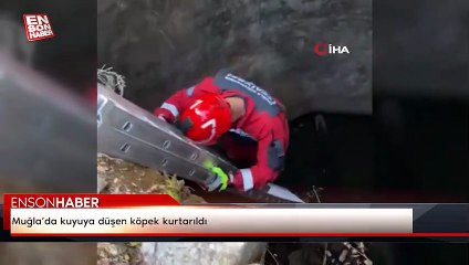 Muğla’da kuyuya düşen köpek kurtarıldı